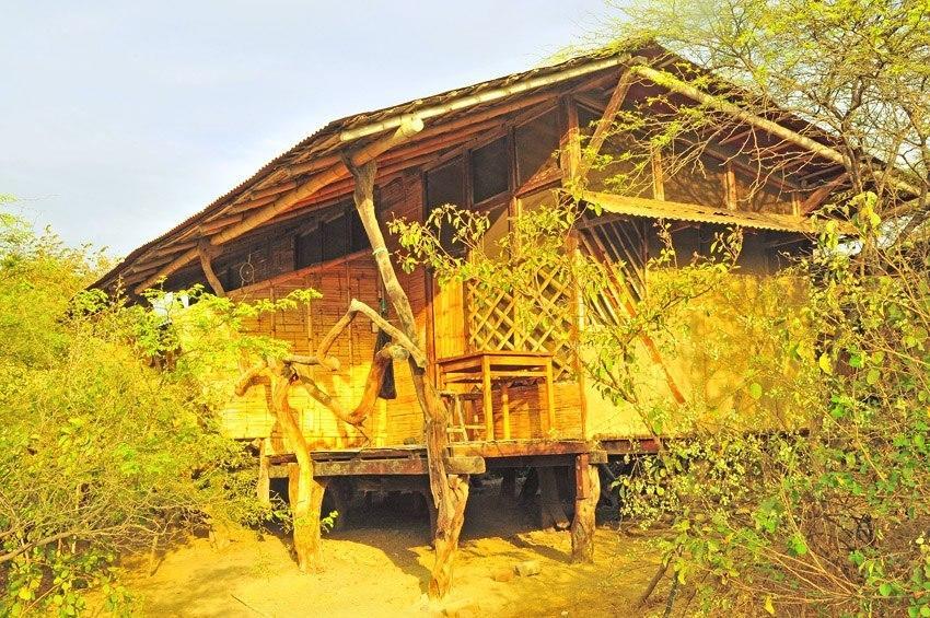 Grillo Tres Puntas Eco-Hostel Соритос Екстериор снимка